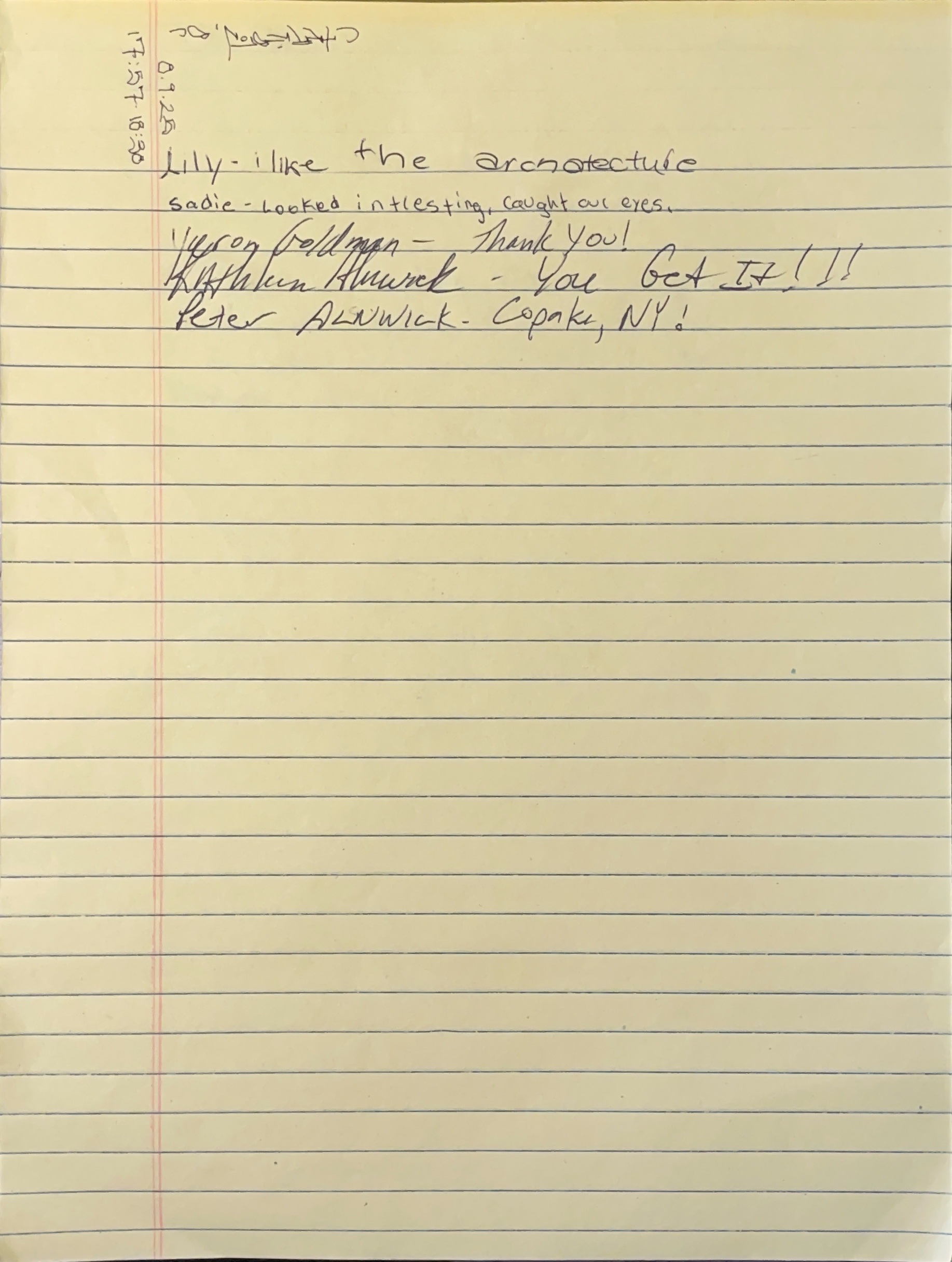 Other analysis image 11